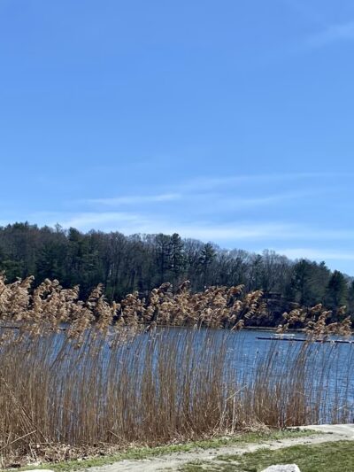 Scalloptown Park - East Greenwich, RI