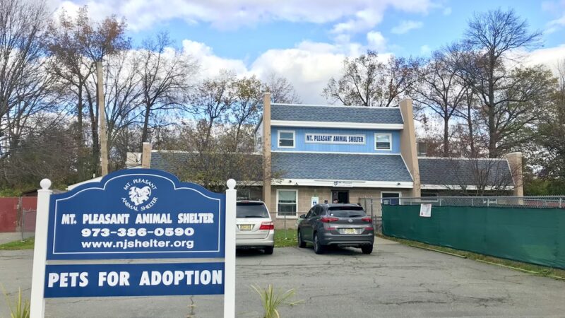 Mt Pleasant Animal Shelter - East Hanover, NJ