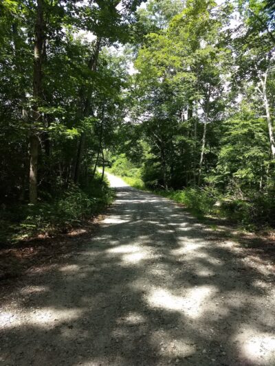 Nehantic State Forest - East Lyme, CT