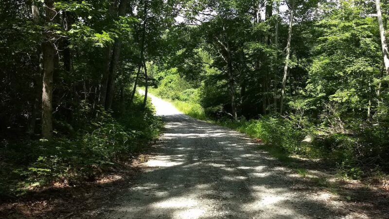 Nehantic State Forest - East Lyme, CT