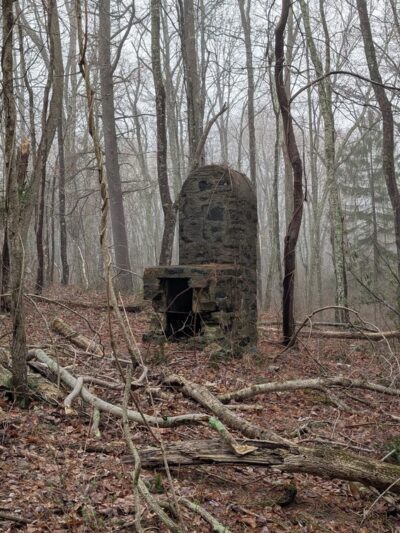 Nehantic State Forest - East Lyme, CT