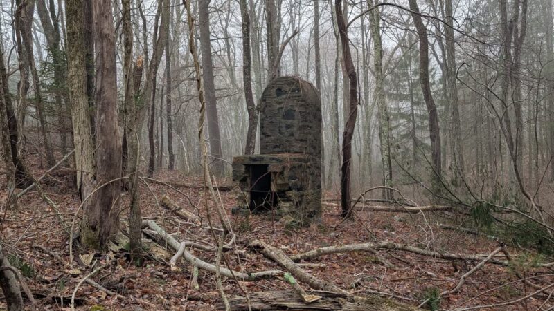 Nehantic State Forest - East Lyme, CT
