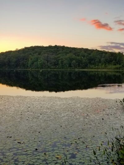 Nehantic State Forest - East Lyme, CT