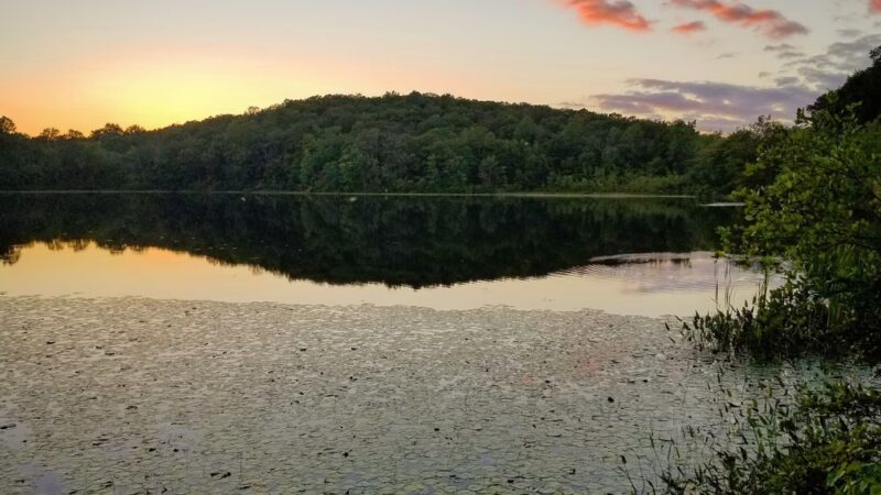 Nehantic State Forest - East Lyme, CT