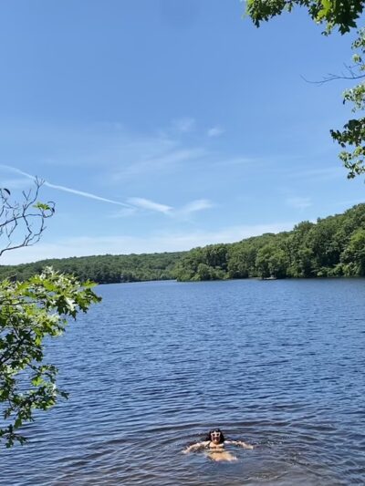 Nehantic State Forest - East Lyme, CT