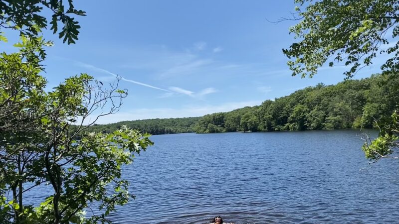 Nehantic State Forest - East Lyme, CT