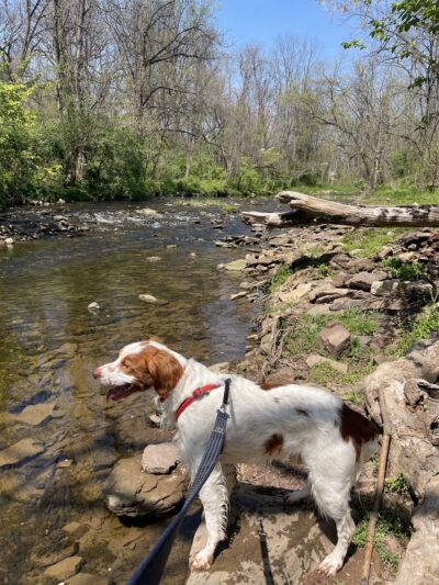 Norristown Farm Park Pavillions & Parking Lot # 3 - East Norriton Township, PA