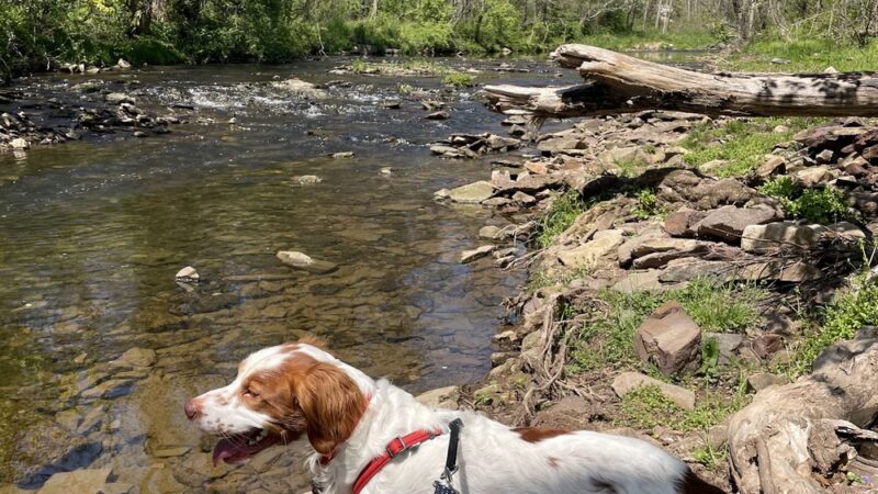 Norristown Farm Park Pavillions & Parking Lot # 3 - East Norriton Township, PA