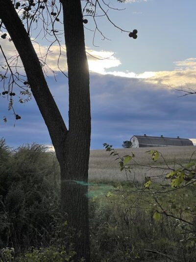 Norristown Farm Park Pavillions & Parking Lot # 3 - East Norriton Township, PA