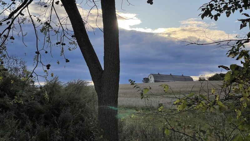 Norristown Farm Park Pavillions & Parking Lot # 3 - East Norriton Township, PA