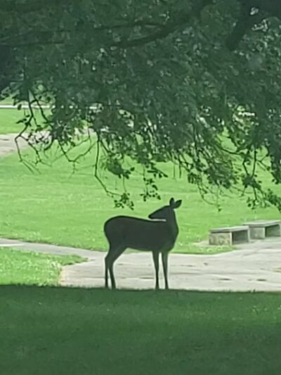 Calvert Hurdle Park - East Norriton Township, PA