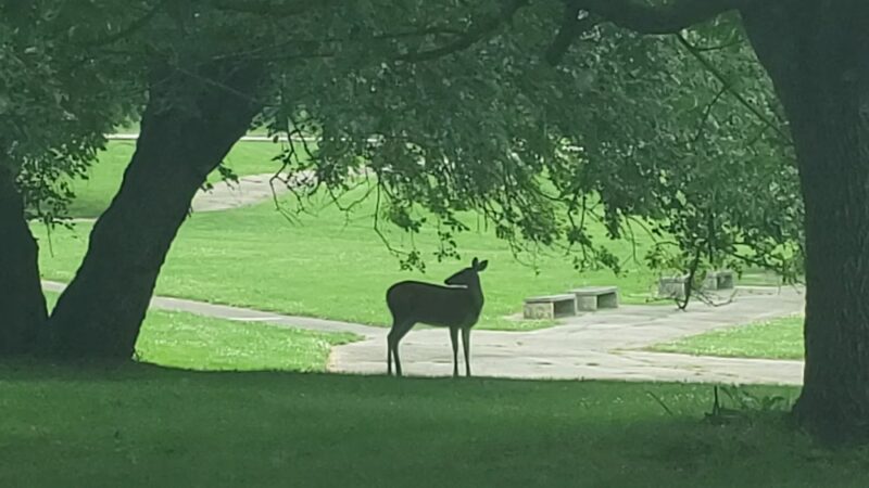 Calvert Hurdle Park - East Norriton Township, PA