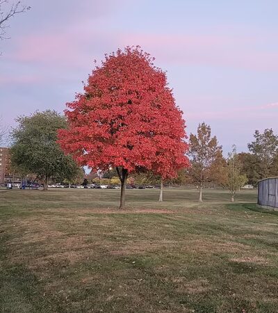 Stanbridge Street Park - East Norriton Township, PA