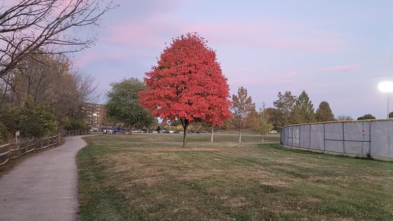 Stanbridge Street Park - East Norriton Township, PA