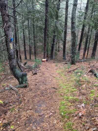 Old Sandwich Game Farm Wildlife Management Area - East Sandwich, MA