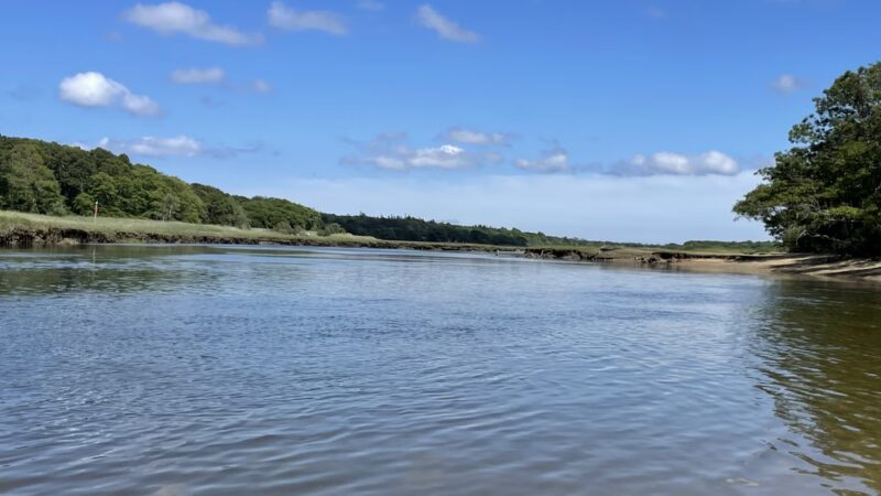 Old Sandwich Game Farm Wildlife Management Area - East Sandwich, MA