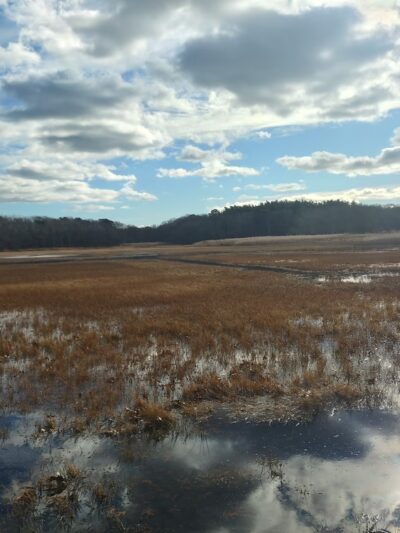 Old Sandwich Game Farm Wildlife Management Area - East Sandwich, MA