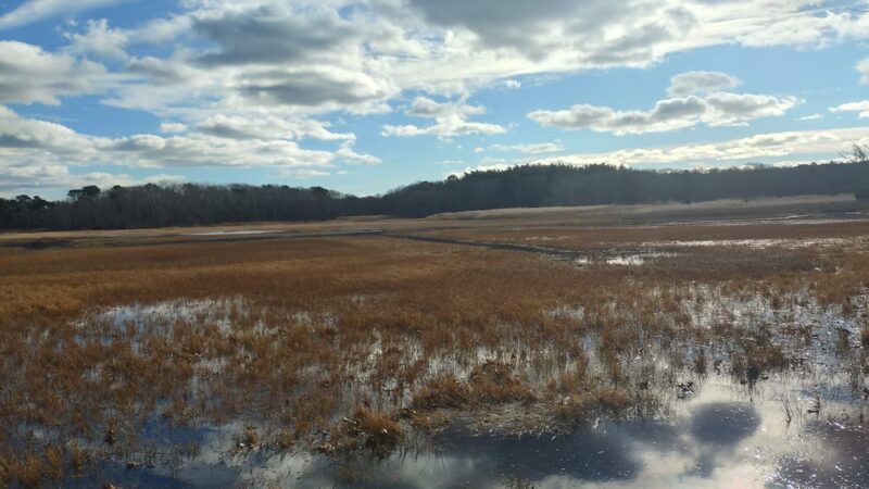 Old Sandwich Game Farm Wildlife Management Area - East Sandwich, MA
