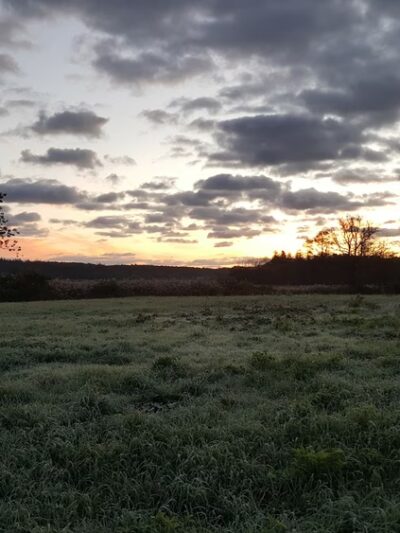 Old Sandwich Game Farm Wildlife Management Area - East Sandwich, MA