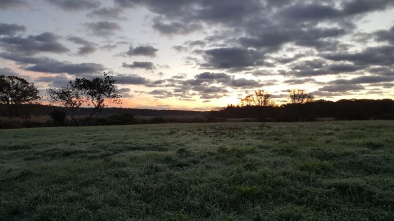 Old Sandwich Game Farm Wildlife Management Area - East Sandwich, MA