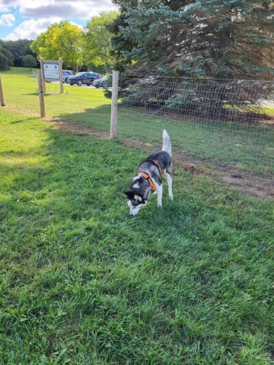 East Troy Dog Park - East Troy, WI