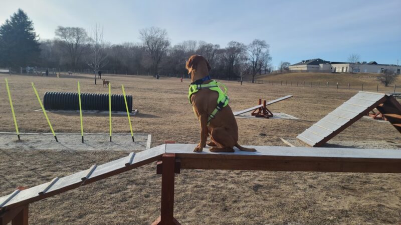 East Troy Dog Park - East Troy, WI