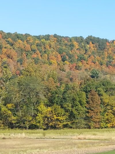 Robinson's Family Campground - East Waterford, PA