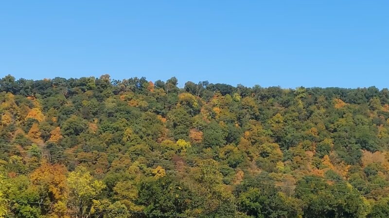 Robinson's Family Campground - East Waterford, PA