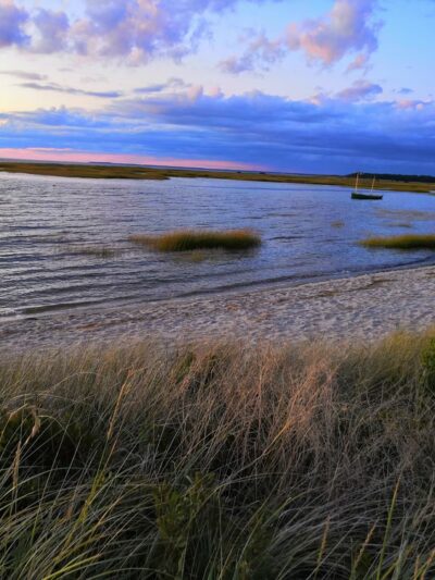 Boat Meadow - Eastham, MA