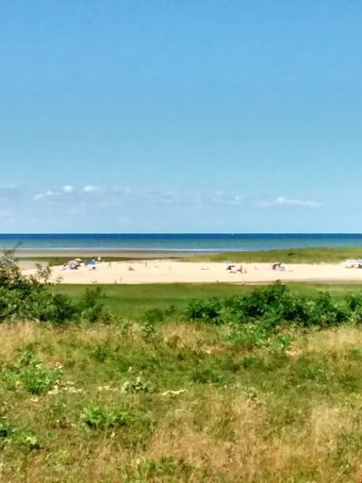 Boat Meadow - Eastham, MA