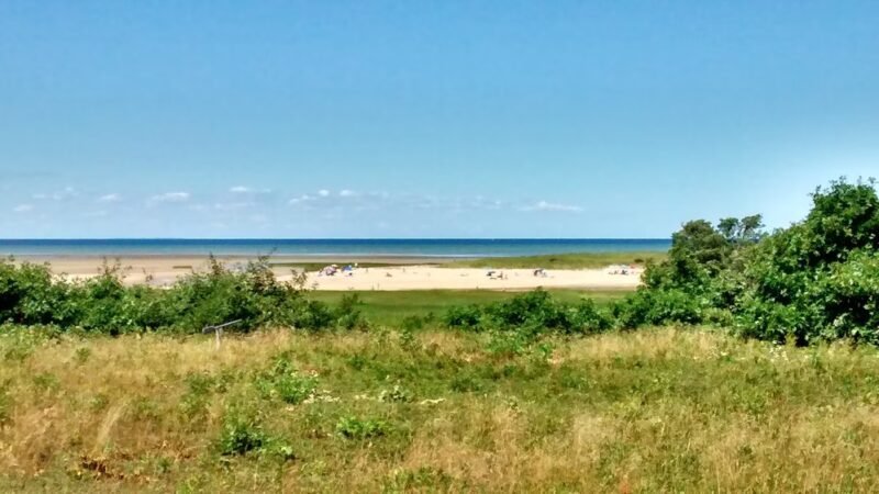 Boat Meadow - Eastham, MA