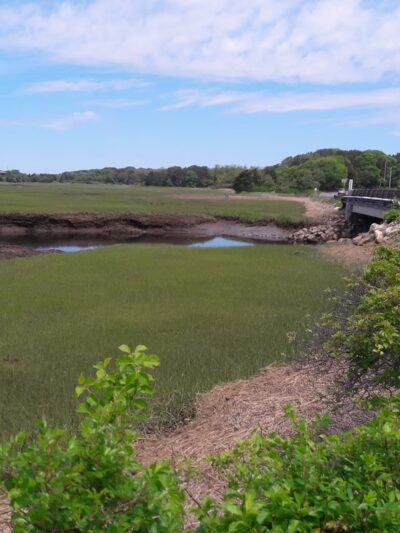 Boat Meadow - Eastham, MA