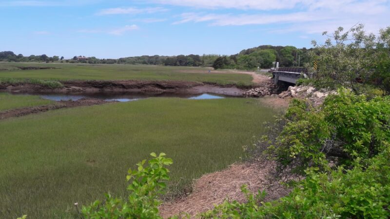 Boat Meadow - Eastham, MA