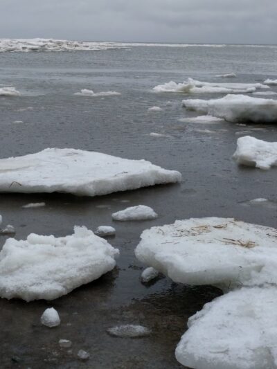 Boat Meadow - Eastham, MA