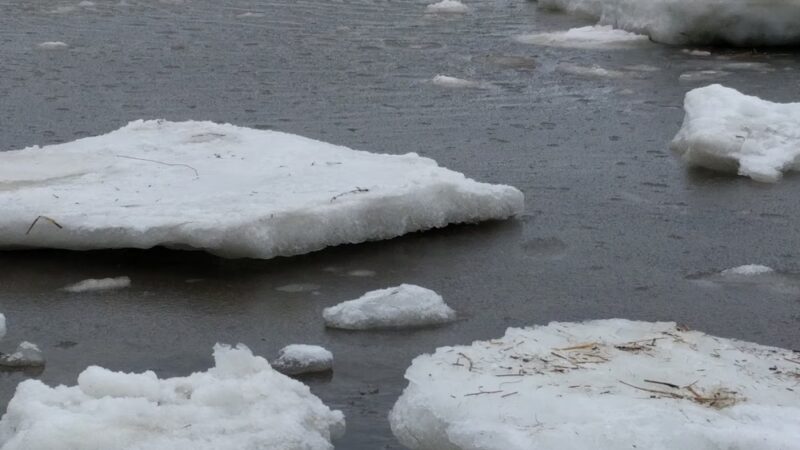 Boat Meadow - Eastham, MA