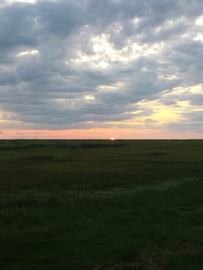 Boat Meadow - Eastham, MA