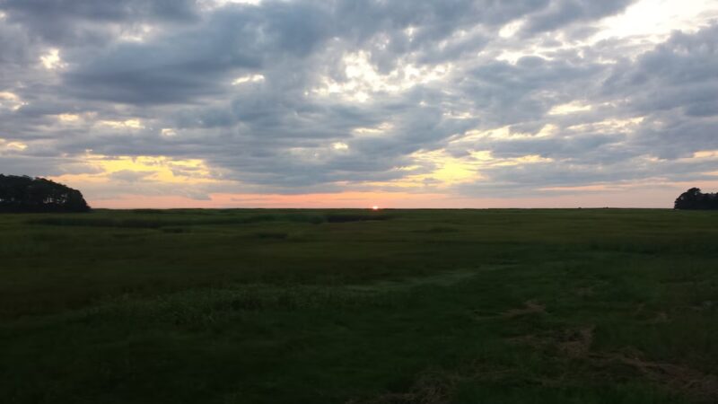 Boat Meadow - Eastham, MA