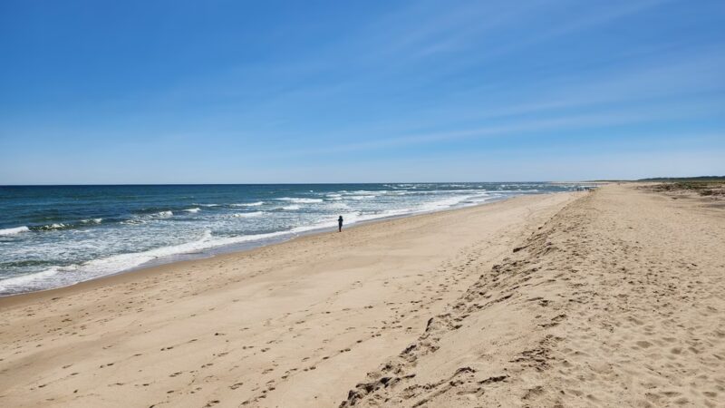 Coast Guard Beach - Eastham, MA