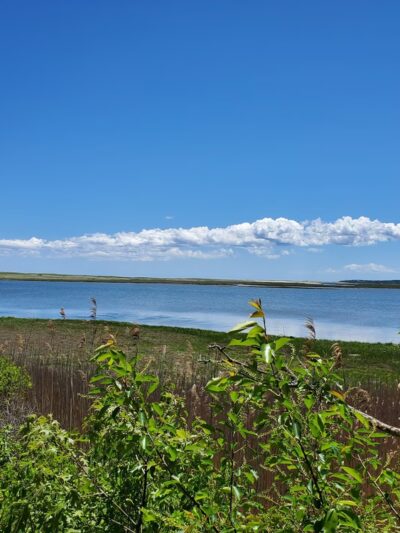 Coast Guard Beach - Eastham, MA
