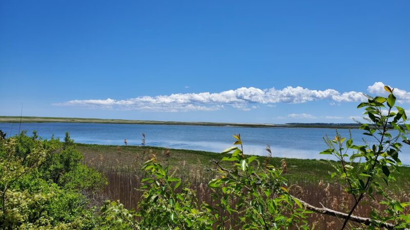 Coast Guard Beach - Eastham, MA