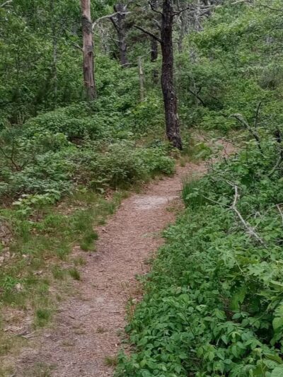 Doane Rock Picnic Area - Eastham, MA