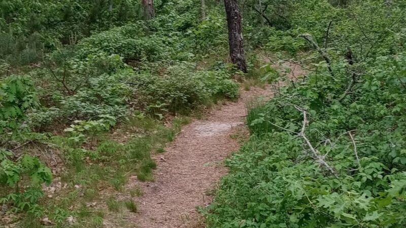 Doane Rock Picnic Area - Eastham, MA