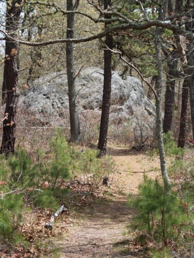 Doane Rock Picnic Area - Eastham, MA