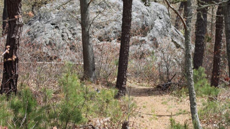 Doane Rock Picnic Area - Eastham, MA