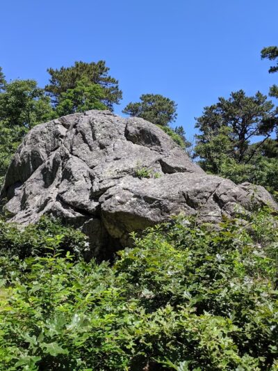 Doane Rock Picnic Area - Eastham, MA