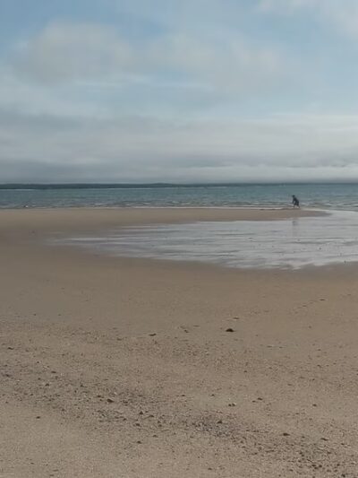 Herring Pond Beach - Eastham, MA