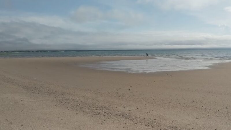 Herring Pond Beach - Eastham, MA