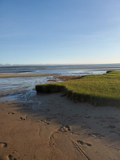 Herring Pond Beach - Eastham, MA