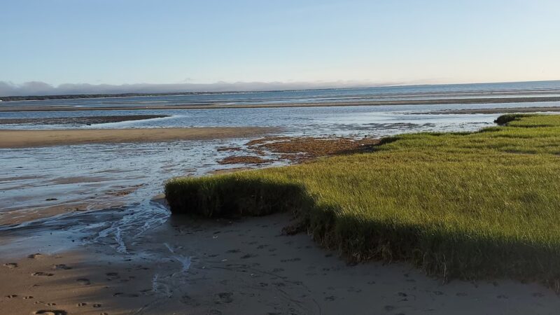Herring Pond Beach - Eastham, MA