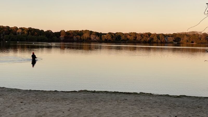 Herring Pond Beach - Eastham, MA
